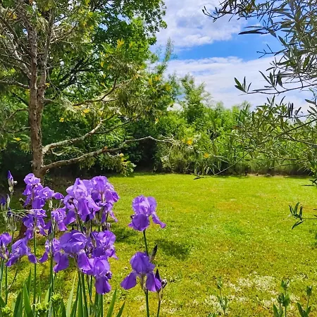 Bacquies - Swimming Pool And Enclosed Garden